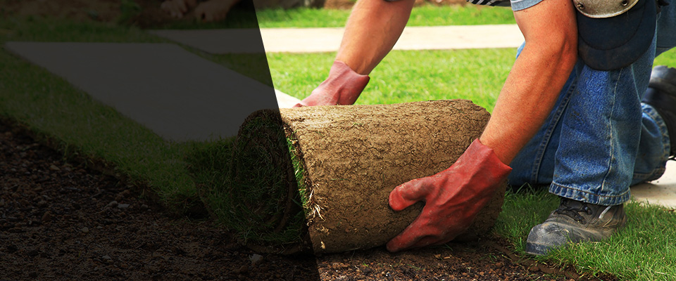 Nazareth Landscapers
